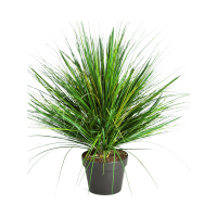 Grass Onion Kunstpflanze, H 50
