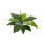 Anthurium Jungle King Kunstpflanze, H 84