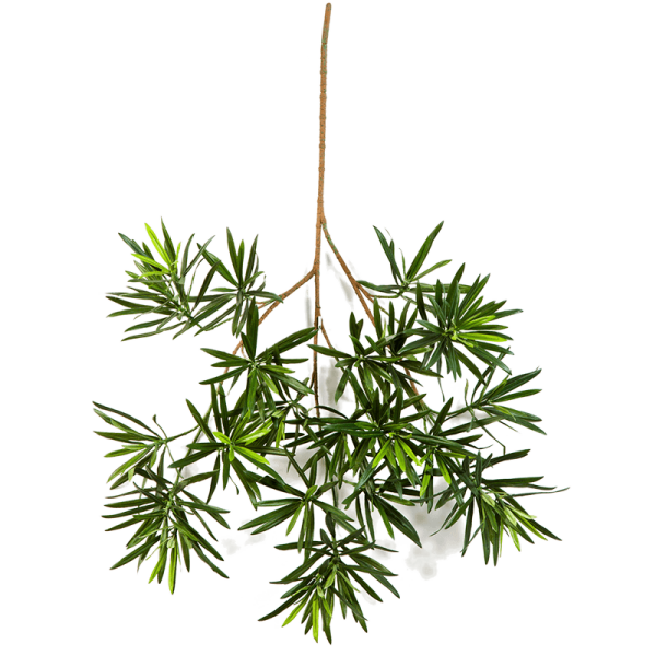 Podocarpus Kunstpflanze, H 66