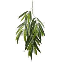 Ficus longifolia Kunstpflanze, H 68