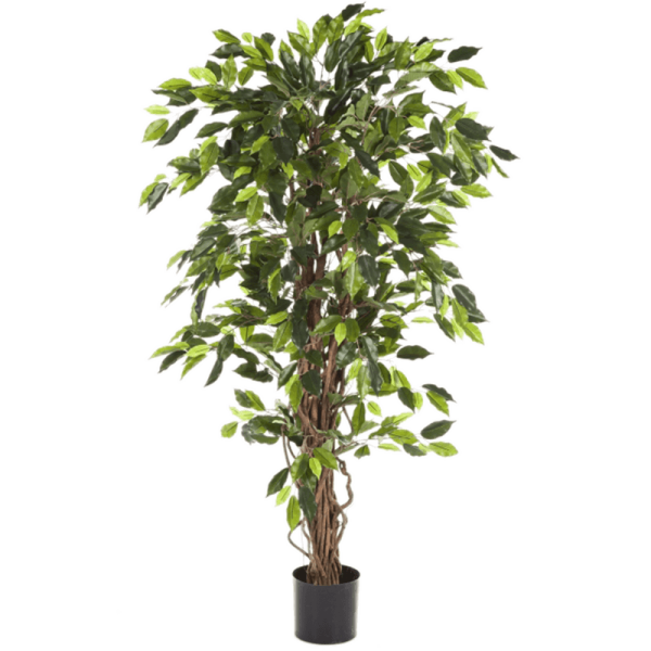 Ficus liana Kunstpflanze, H 150