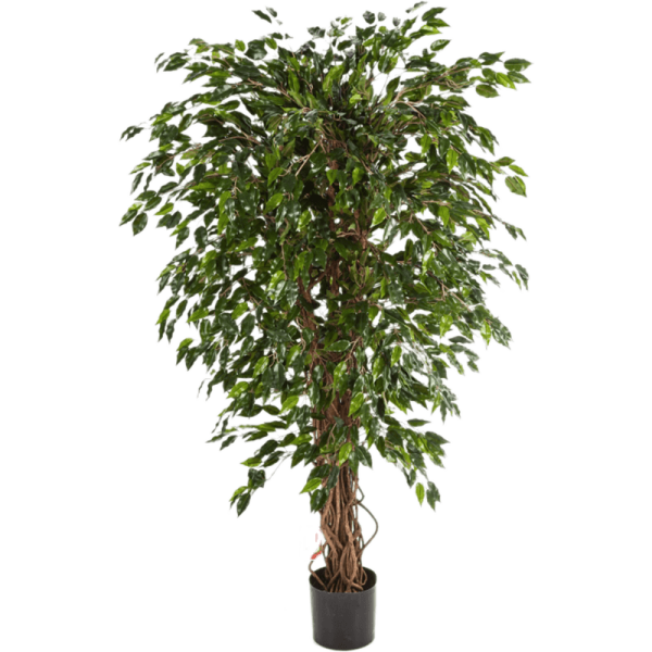 Ficus hawaiian liana Kunstpflanze, H 210