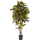 Croton exellent Kunstpflanze, H 120
