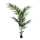 Kentia Kunstpflanze, H 150