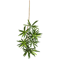 Podocarpus Kunstpflanze, H 53