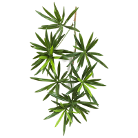 Podocarpus Kunstpflanze, H 40