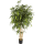 Bamboo New natural Kunstpflanze, H 150