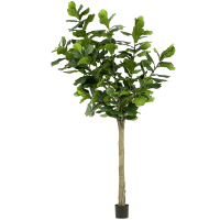 Ficus lyrata Kunstpflanze, H 300