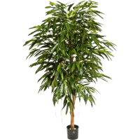 Ficus longifolia Kunstpflanze, H 150