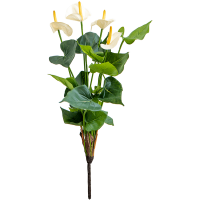 Anthurium Kunstpflanze, H 56