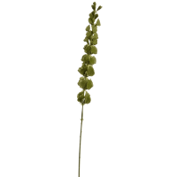 Molucela Kunstpflanze, H 98