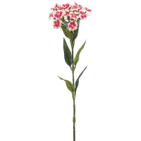 Dianthus Kunstpflanze, H 53