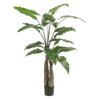 Alocasia Kunstpflanze, H 150