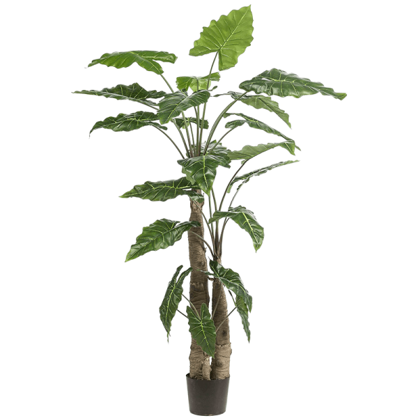 Alocasia Kunstpflanze, H 180