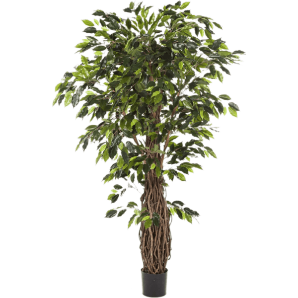 Ficus liana Kunstpflanze, H 240