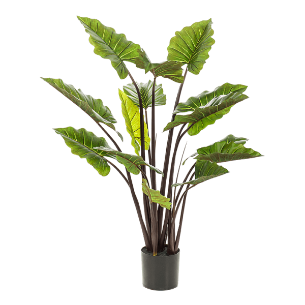 Colocasia Kunstpflanze, H 130