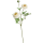 Ranunculus Kunstpflanze, H 63