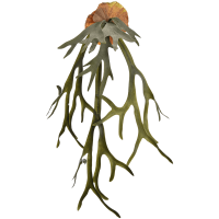 Staghorn Kunstpflanze, H 90
