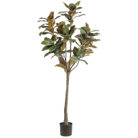 Magnolia Denudata Kunstpflanze, H 150