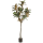 Magnolia Denudata Kunstpflanze, H 150