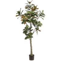 Magnolia Denudata Kunstpflanze, H 180