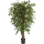 Ficus hawaiian liana Kunstpflanze, H 180