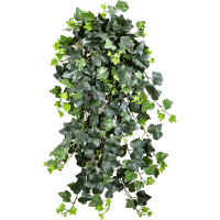 Ivy Kunstpflanze, H 75