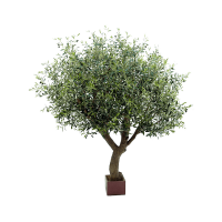 Olive tree Kunstpflanze, H 210