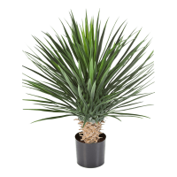 Yucca rostrata Kunstpflanze, H 80
