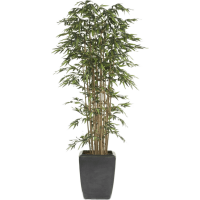 Bamboo Kunstpflanze, H 175