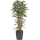 Bamboo Kunstpflanze, H 175