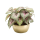 Begonia Kunstpflanze, Ø 18 H 25
