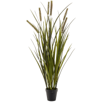 Grass Cattails Kunstpflanze, H 85