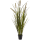 Grass Cattails Kunstpflanze, H 85