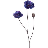 Poppy Kunstpflanze, H 65