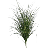 Zebra Grass Kunstpflanze, H 64