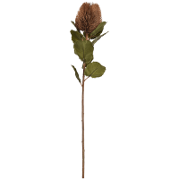 Banksia Kunstpflanze, H 59