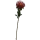 Protea Kunstpflanze, H 74