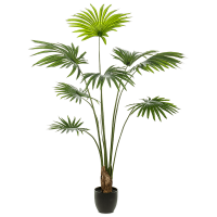 Palm livistona Kunstpflanze, H 160