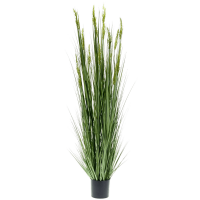 Grass Grain Kunstpflanze, H 185