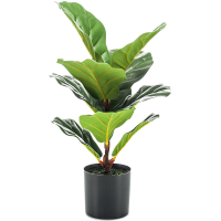 Ficus lyrata Kunstpflanze, H 55