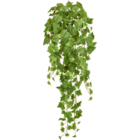 Ivy Green Kunstpflanze, H 86
