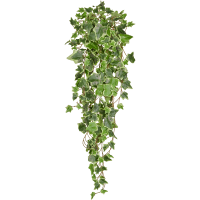 Ivy Green Variegated Kunstpflanze, H 86