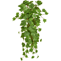 Ivy Green Kunstpflanze, H 55