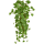Ivy Green Kunstpflanze, H 55