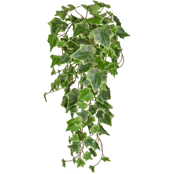 Ivy Green Variegated Kunstpflanze, H 55