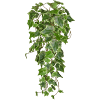 Ivy Green Variegated Kunstpflanze, H 55