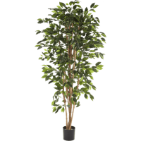 Ficus nitida Kunstpflanze, H 210