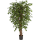 Ficus hawaiian liana Kunstpflanze, H 120