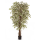 Ficus hawaiian liana Var. Kunstpflanze, H 180